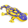 Надувная игрушка-наездник BESTWAY САЛАМАНДРА 41502, 191х119см, от 3 лет